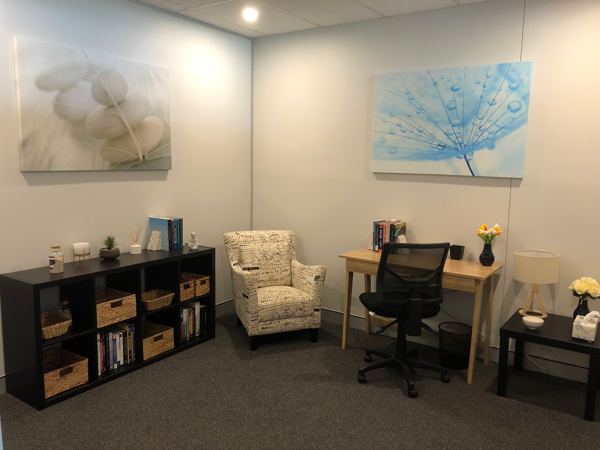 Large Therapy Room
